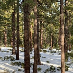 Meet your Posher, Vera